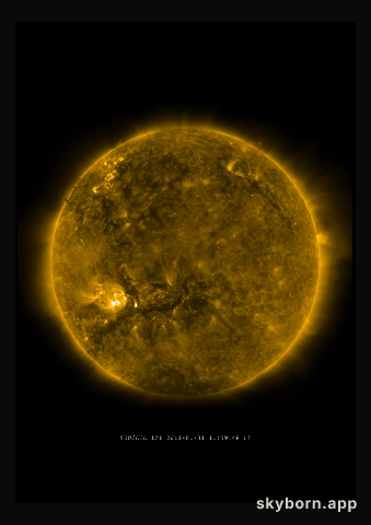The Sun on 31 January 2011