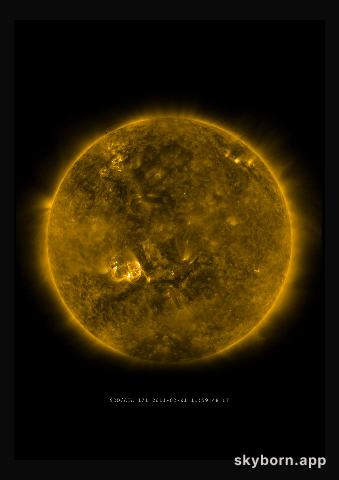 The Sun on 1 February 2011