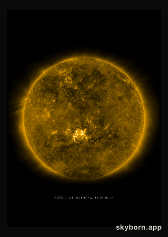The Sun on 2 February 2011