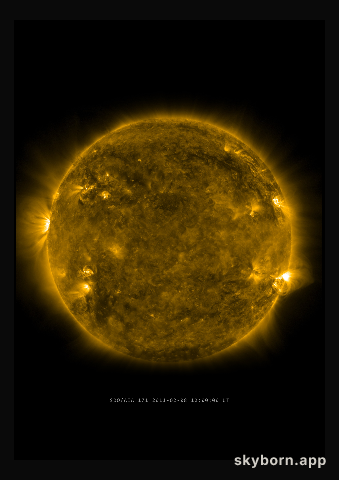 The Sun on 8 February 2011