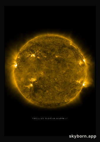 The Sun on 9 February 2011