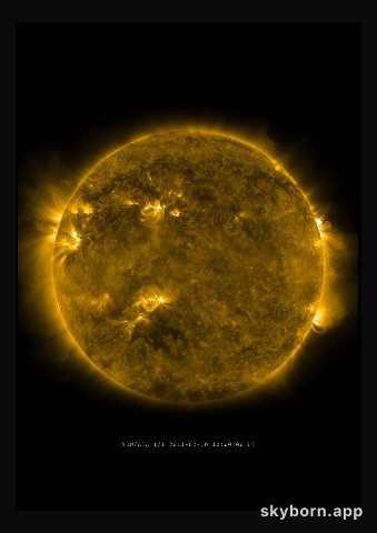 The Sun on 10 February 2011