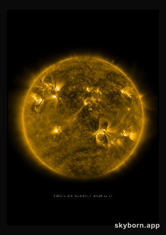 The Sun on 15 February 2011