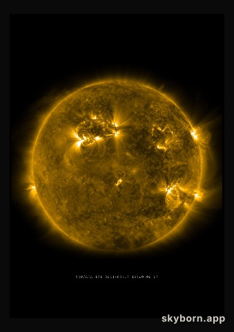The Sun on 17 February 2011
