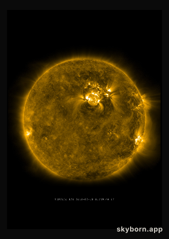 The Sun on 19 February 2011