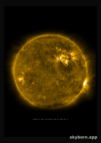 The Sun on 20 February 2011