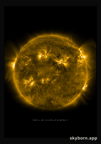 The Sun on 10 March 2011