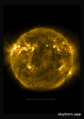 The Sun on 3 May 2011