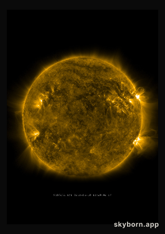 The Sun on 10 June 2011