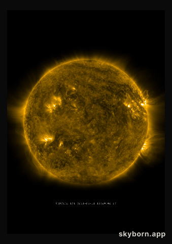 The Sun on 11 June 2011