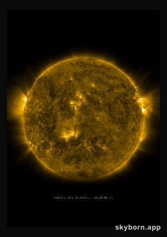 The Sun on 13 June 2011