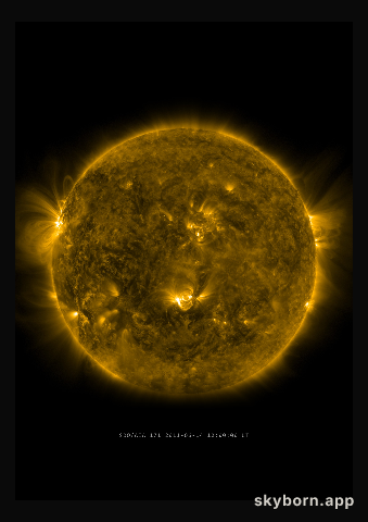 The Sun on 14 June 2011