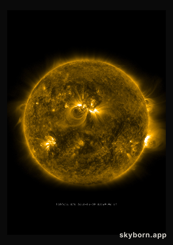 The Sun on 20 June 2011