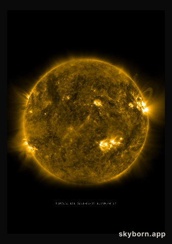 The Sun on 25 June 2011