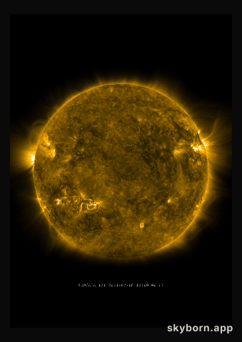 The Sun on 8 July 2011