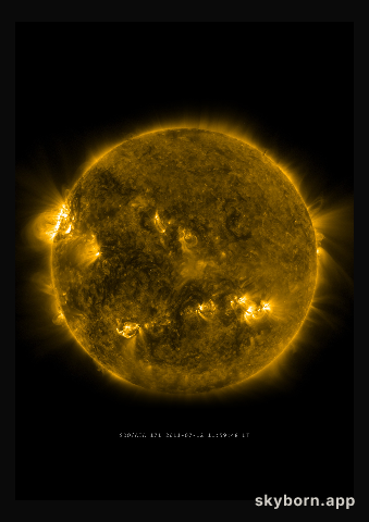 The Sun on 12 July 2011