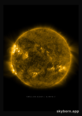 The Sun on 13 July 2011