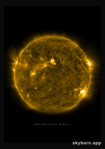 The Sun on 24 July 2011