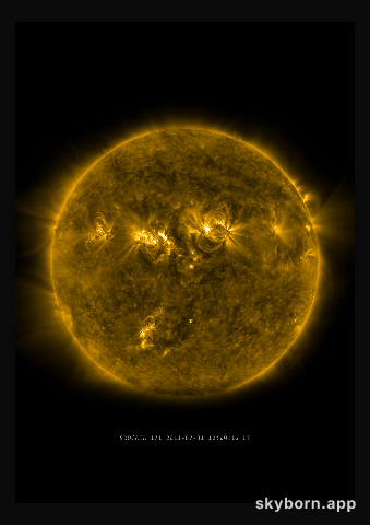 The Sun on 31 July 2011