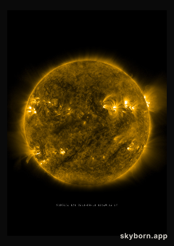 The Sun on 11 August 2011