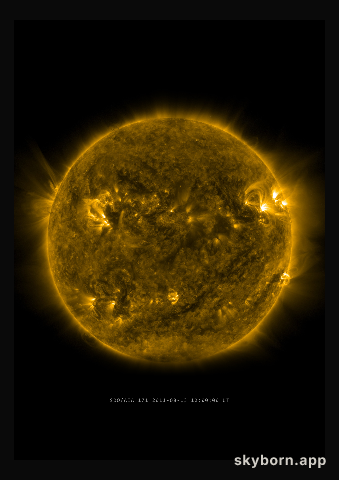 The Sun on 13 August 2011