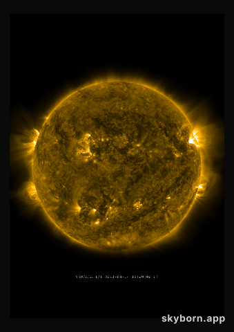 The Sun on 14 August 2011