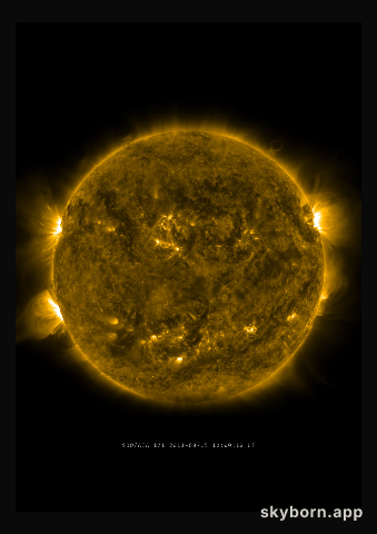 The Sun on 15 August 2011