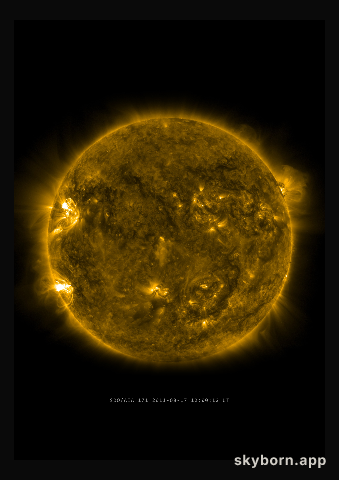 The Sun on 17 August 2011