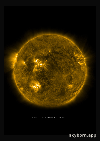 The Sun on 20 August 2011
