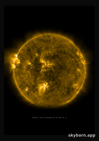 The Sun on 21 August 2011