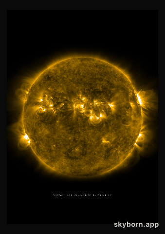 The Sun on 28 August 2011