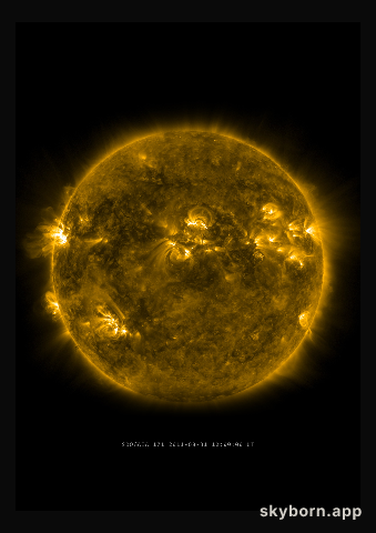 The Sun on 31 August 2011