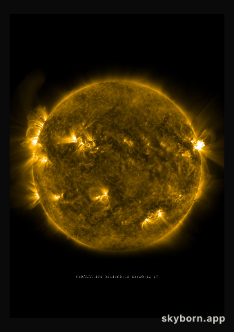The Sun on 11 September 2011