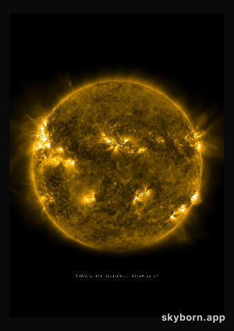 The Sun on 13 September 2011