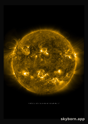 The Sun on 8 October 2011