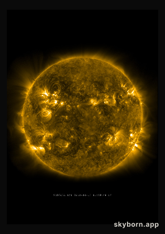 The Sun on 13 October 2011