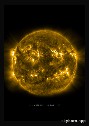 The Sun on 10 November 2011