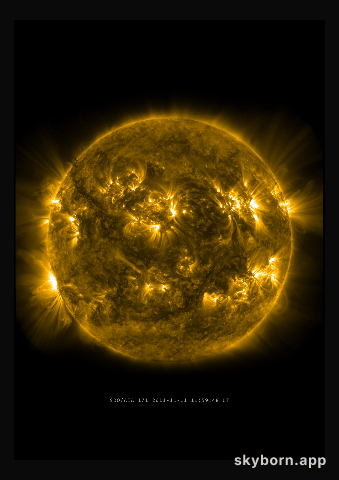 The Sun on 11 November 2011
