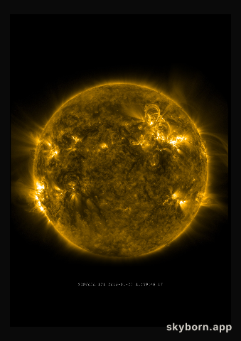 The Sun on 23 January 2012