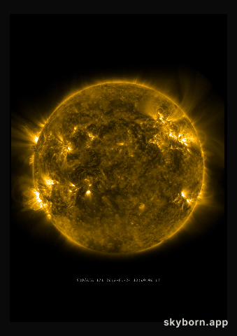 The Sun on 24 January 2012