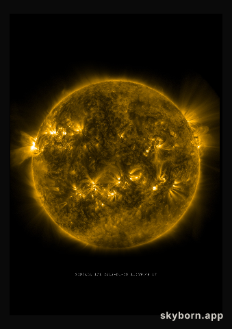 The Sun on 29 January 2012