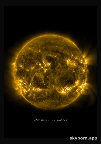 The Sun on 4 August 2012