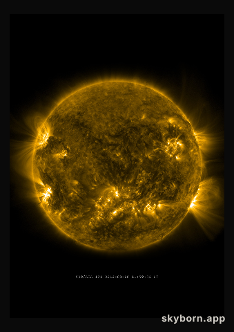 The Sun on 8 August 2012