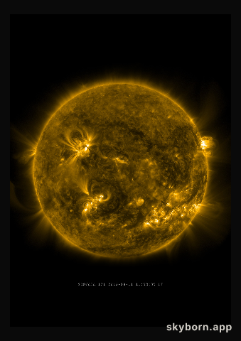 The Sun on 11 August 2012