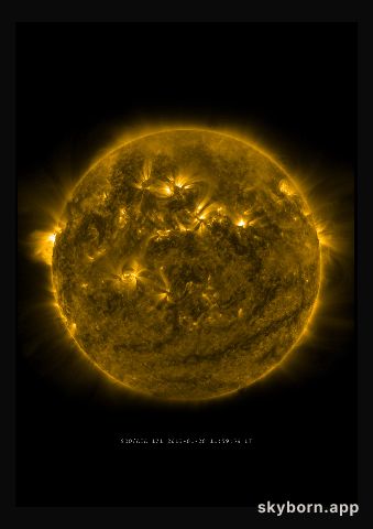 The Sun on 28 January 2013