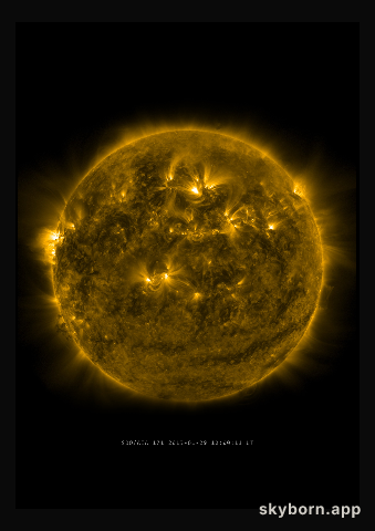 The Sun on 29 January 2013