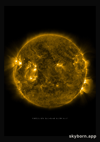 The Sun on 8 June 2013