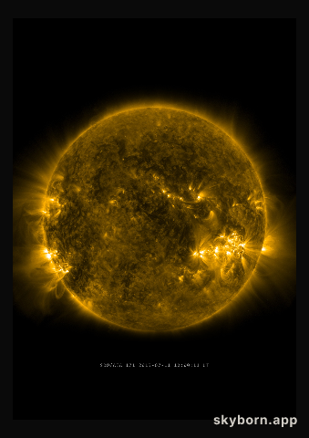 The Sun on 11 July 2013