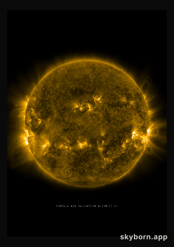 The Sun on 29 July 2013