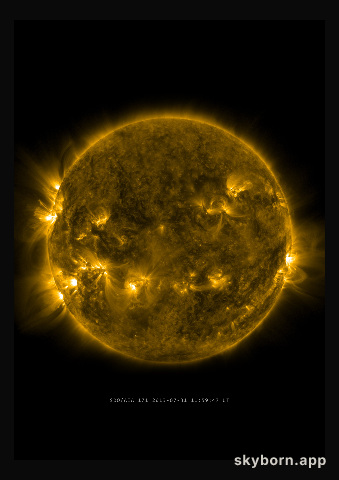 The Sun on 31 July 2013